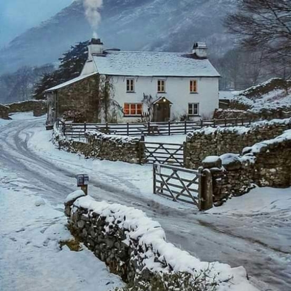 Meet your Posher, NiChole - Picture 8 of 8